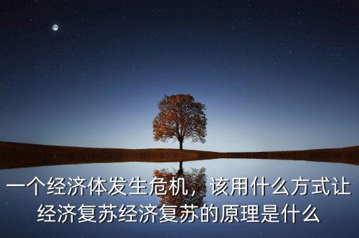 一個經(jīng)濟體發(fā)生危機，該用什么方式讓經(jīng)濟復蘇經(jīng)濟復蘇的原理是什么