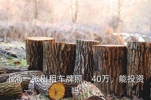 上海一張出租車牌照，40萬，能投資嗎