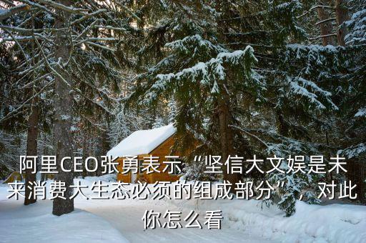 阿里CEO張勇表示“堅(jiān)信大文娛是未來消費(fèi)大生態(tài)必須的組成部分”，對(duì)此你怎么看
