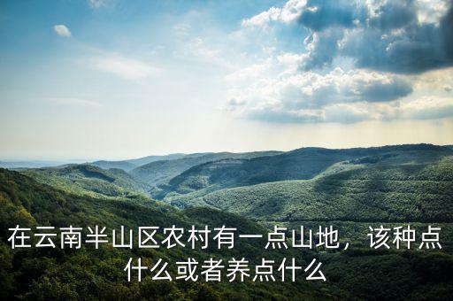 在云南半山區(qū)農(nóng)村有一點山地，該種點什么或者養(yǎng)點什么