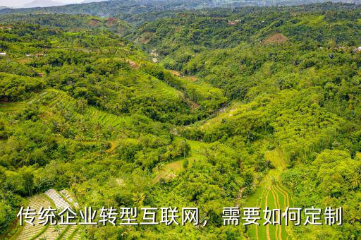 互聯(lián)網(wǎng)轉型需要什么,傳統(tǒng)企業(yè)轉型互聯(lián)網(wǎng)