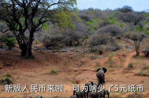 新版人民幣來啦，可為啥少了5元紙幣