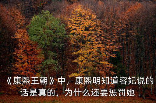 《康熙王朝》中，康熙明知道容妃說的話是真的，為什么還要懲罰她