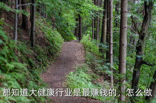 都知道大健康行業(yè)是最賺錢的，怎么做