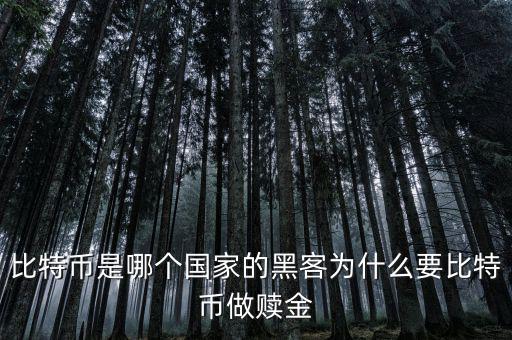 比特幣是哪個(gè)國(guó)家的黑客為什么要比特幣做贖金