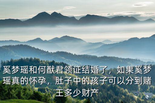 奚夢瑤和何猷君領(lǐng)證結(jié)婚了，如果奚夢瑤真的懷孕，肚子中的孩子可以分到賭王多少財產(chǎn)