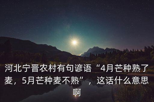 河北寧晉農(nóng)村有句諺語“4月芒種熟了麥，5月芒種麥不熟”，這話什么意思啊
