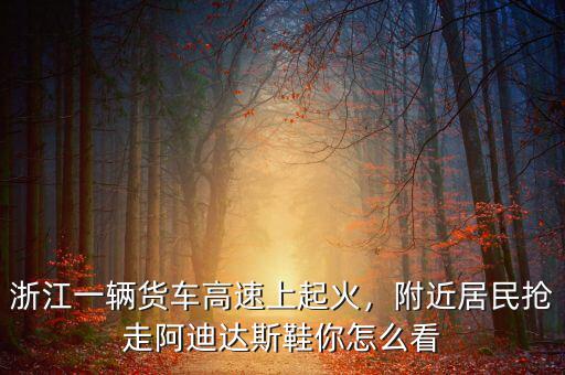 浙江一輛貨車(chē)高速上起火，附近居民搶走阿迪達(dá)斯鞋你怎么看