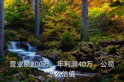 營(yíng)業(yè)額200萬(wàn)，年利潤(rùn)40萬(wàn)，公司怎么估值