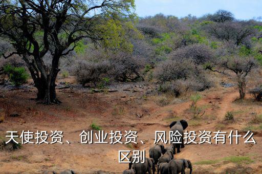 天使投資、創(chuàng)業(yè)投資、風(fēng)險(xiǎn)投資有什么區(qū)別