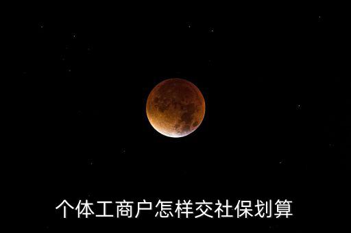 個(gè)體工商戶(hù)怎樣交社保劃算