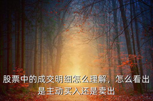 股票中的成交明細(xì)怎么理解，怎么看出是主動(dòng)買(mǎi)入還是賣(mài)出