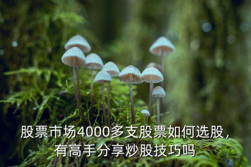 高手怎么買(mǎi)賣股票技巧,散戶怎樣才能成為炒股高手
