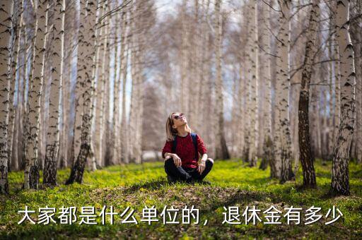 大家都是什么單位的，退休金有多少