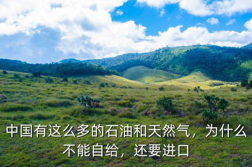 中國有這么多的石油和天然氣，為什么不能自給，還要進(jìn)口