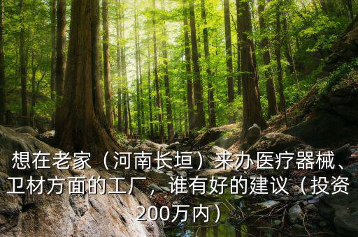想在老家（河南長垣）來辦醫(yī)療器械、衛(wèi)材方面的工廠，誰有好的建議（投資200萬內(nèi)）