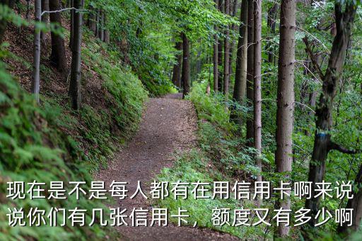 現(xiàn)在是不是每人都有在用信用卡啊來說說你們有幾張信用卡，額度又有多少啊