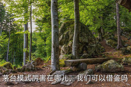 茅臺模式厲害在哪兒，我們可以借鑒嗎