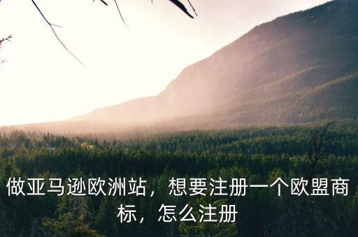 做亞馬遜歐洲站，想要注冊一個(gè)歐盟商標(biāo)，怎么注冊