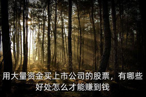 用大量資金買上市公司的股票，有哪些好處怎么才能賺到錢