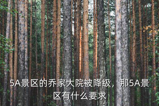 5A景區(qū)的喬家大院被降級，那5A景區(qū)有什么要求