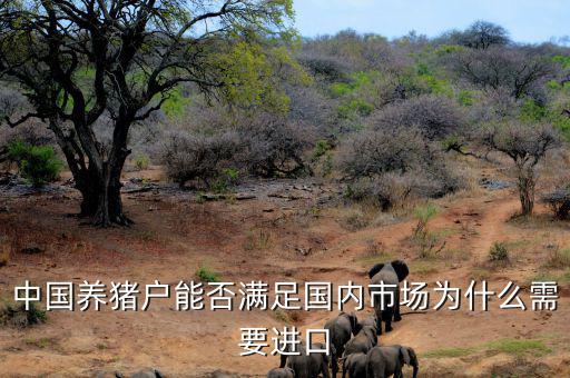 中國養(yǎng)豬戶能否滿足國內(nèi)市場(chǎng)為什么需要進(jìn)口