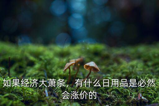 如果經(jīng)濟(jì)大蕭條，有什么日用品是必然會(huì)漲價(jià)的