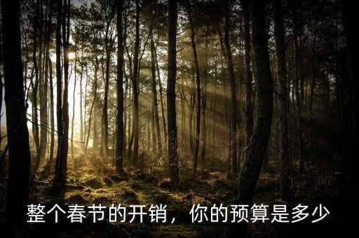 春節(jié)花費(fèi)多少,今年過(guò)年大家都花費(fèi)多少呢