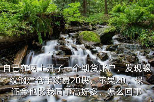 自己在網(wǎng)上開了一個期貨賬戶，發(fā)現(xiàn)螺紋鋼建倉手續(xù)費20塊，蘋果20，保證金也比我同事高好多，怎么回事