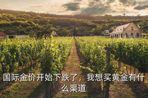 國際金價開始下跌了，我想買黃金有什么渠道