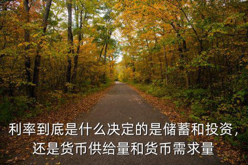 利率到底是什么決定的是儲蓄和投資，還是貨幣供給量和貨幣需求量