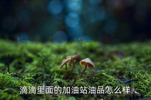 路易達加油站油怎么樣,私人加油站油品質怎么樣
