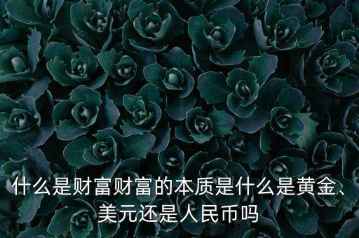 什么是財(cái)富財(cái)富的本質(zhì)是什么是黃金、美元還是人民幣嗎