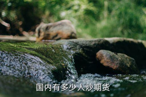 中國(guó)有多少人做期貨,全國(guó)大概有多少人在做期貨