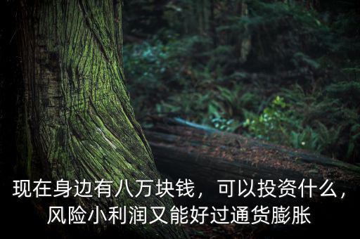 現(xiàn)在身邊有八萬塊錢，可以投資什么，風險小利潤又能好過通貨膨脹