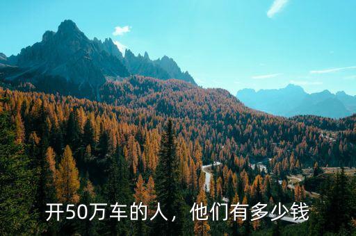開50萬車的人，他們有多少錢