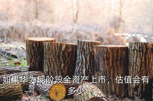 如果華為現(xiàn)階段全資產(chǎn)上市，估值會有多少