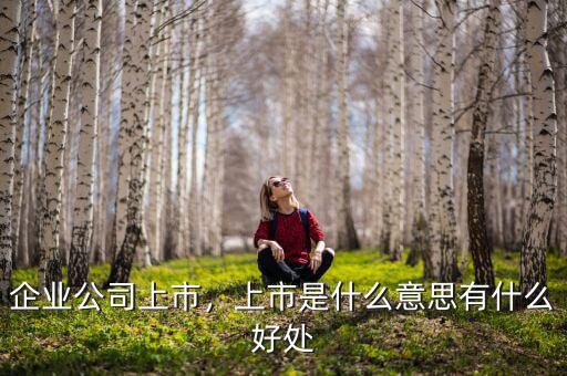 企業(yè)公司上市，上市是什么意思有什么好處