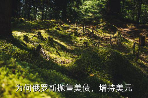 為何俄羅斯拋售美債，增持美元