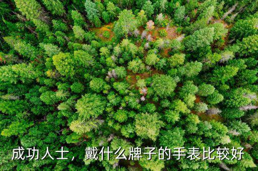 成功人士，戴什么牌子的手表比較好