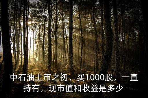 中石油上市之初，買1000股，一直持有，現(xiàn)市值和收益是多少