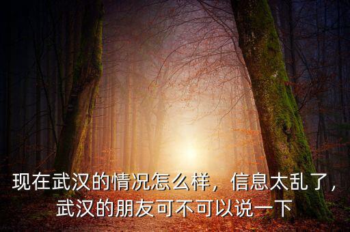 現(xiàn)在武漢的情況怎么樣，信息太亂了，武漢的朋友可不可以說一下
