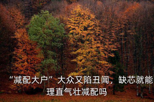 大眾什么丑聞,柴油門(mén)丑聞后