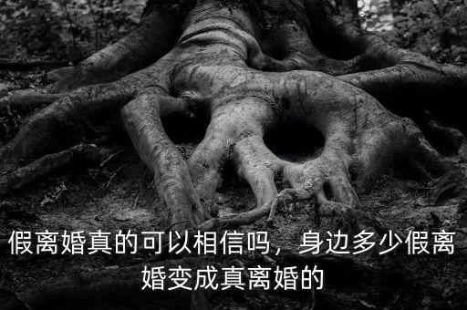 假離婚真的可以相信嗎，身邊多少假離婚變成真離婚的