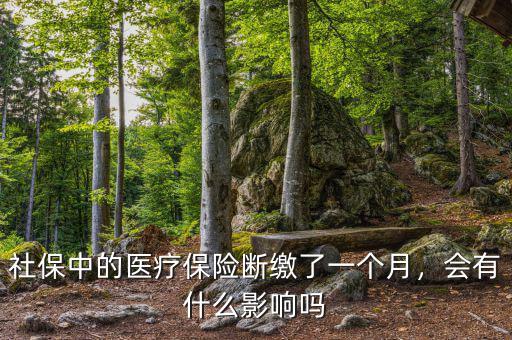社保中的醫(yī)療保險(xiǎn)斷繳了一個(gè)月，會(huì)有什么影響嗎