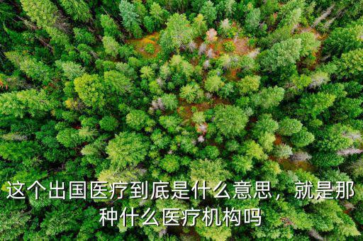 這個出國醫(yī)療到底是什么意思，就是那種什么醫(yī)療機構嗎
