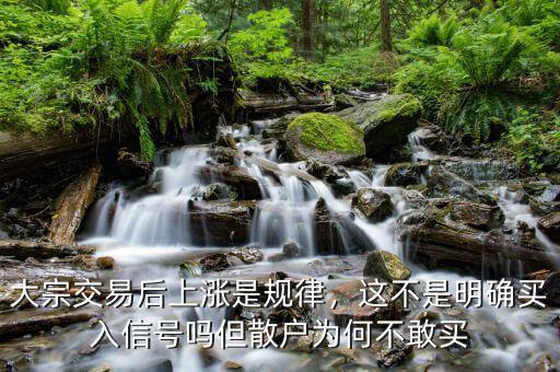 大宗交易后上漲是規(guī)律，這不是明確買(mǎi)入信號(hào)嗎但散戶為何不敢買(mǎi)