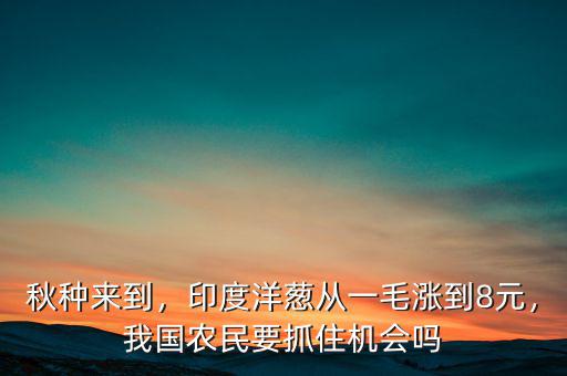 秋種來(lái)到，印度洋蔥從一毛漲到8元，我國(guó)農(nóng)民要抓住機(jī)會(huì)嗎