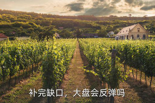 大盤(pán)缺口是什么意思,股市中的缺口是什么意思