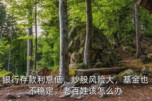銀行存款利息低，炒股風險大，基金也不穩(wěn)定，老百姓該怎么辦